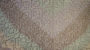 СП ПО_ШАЛИМ ОТЧЕТ 1ДЕКАБРЬ