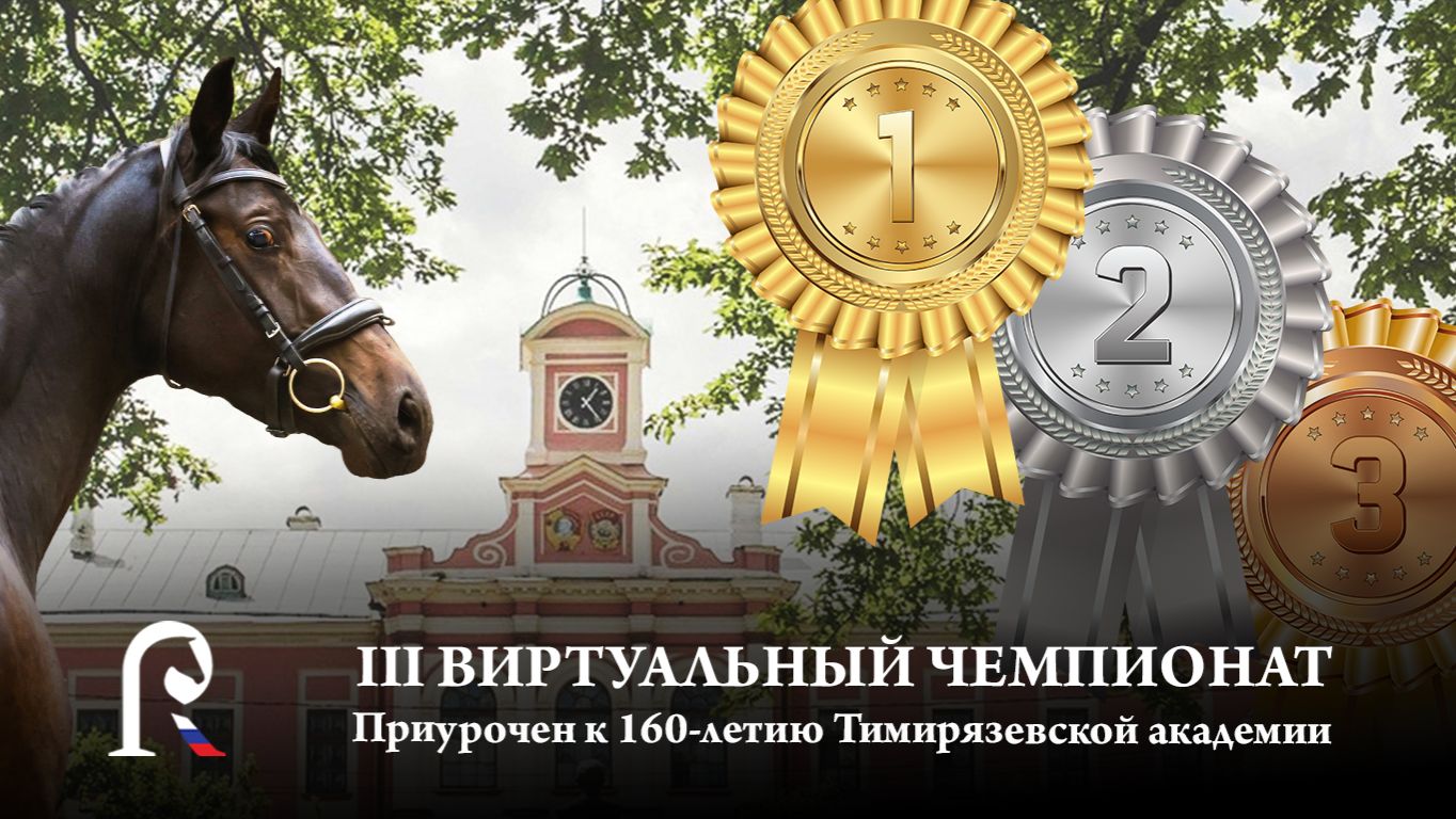 Коб. GLAM MELODY VH (Glamourdale - Moresca Dea VH),  ганн.,  рожд. в 2025 г. в КФХ Валдайский Хутор