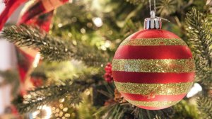 День путешествий по витринам. Такое утро