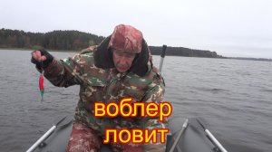 Озеро Пено конец октября ловим на большие воблеры