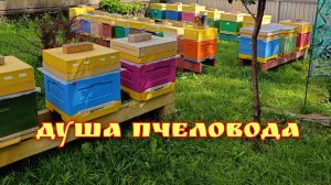 С Наступающим Новым годом 2026!!!