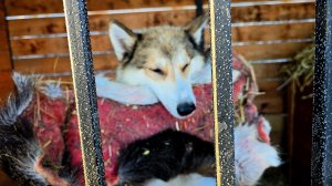 С утра по морозу