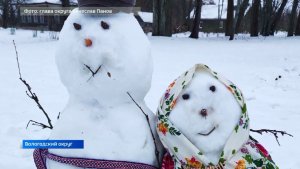 Самую новогоднюю деревню выбрали в Вологодском округе