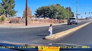 Добрые Поступки Людей на Дорогах, Снятые на Камеру