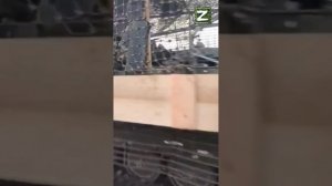 Сборник СВО Декабрь 2025 г (МИКС)