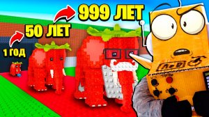 ВЫРАСТИЛ БРЕЙНРОТА В РОБЛОКС ОТ 1 ДО 999 ЛЕТ! НОВАЯ МУТАЦИЯ БРЕЙНРОТОВ в Roblox Grow a BRAINROT