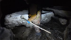 ПОШЛИ В НОЧЬ НА МОРЕ искать ракушку