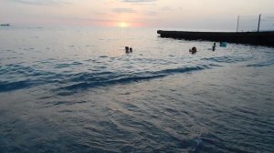 ВИДЕО  ПВН  ББ   (1623)