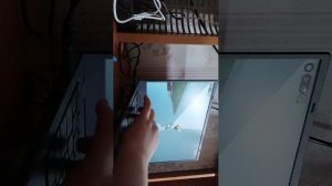 рб с дашей (петраковой)