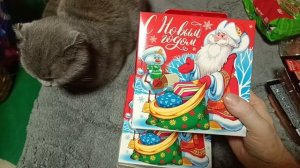 Ксения помогает с распаковкой 👀✨😺