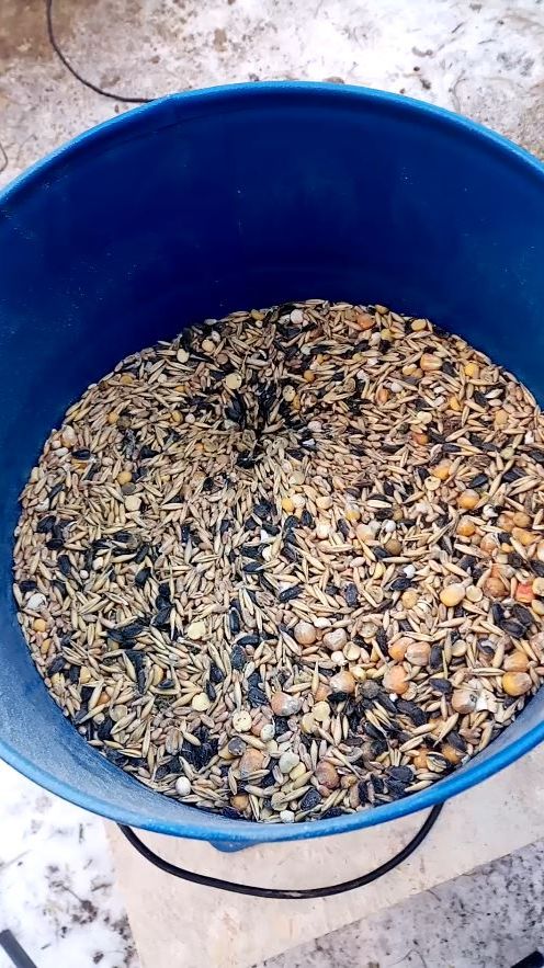 Как приготовить ЗЕРНОСМЕСЬ для кур несушек. смотреть онлайн