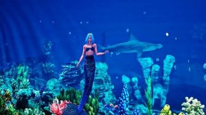 ПАРК ГАЛИЦКОГО, КРАСНОДАР, ЭТО НАДО ВИДЕТЬ! НОВОГОДНЯЯ СКАЗКА-2