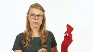 Немецкий для начинающих. Deutsch mit Socke