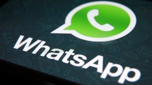 В Общественной палате предупредили о возможной блокировке WhatsApp* в России