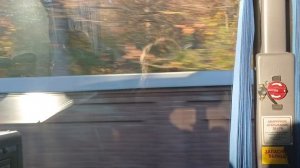 18-10-2025 Г САНКТ-ПЕТЕРБУРГ ОБЗОРНАЯ АВТОБУСНАЯ ЭКСКУРСИЯ В КРАНШТАД ЧАСТЬ-11