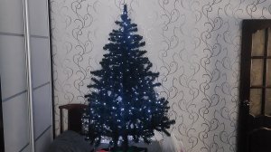 Наконец то дома!!!