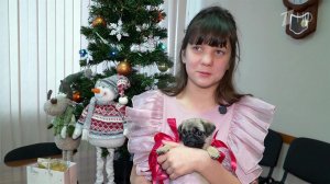 Девочка из Красноярского края получила в подарок от Владимира Путина мопса.