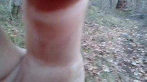 ПОЭЗИЯ черви жирные в земле