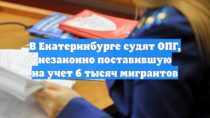 В Екатеринбурге судят ОПГ, незаконно поставившую на учет 6 тысяч мигрантов