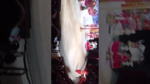 уголок Дурова представление прямой эфир