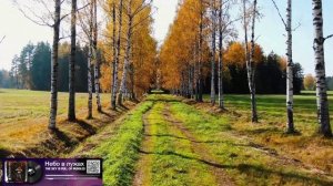 Небо в лужах