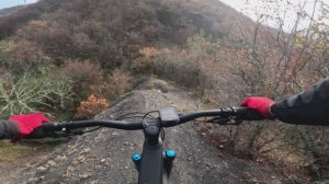 Алушта 29.11.2025