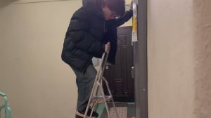 Этажерка. Коллекция бультерьеров. Игрушки. И в подъезд шарик