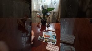 Таро.Что является главным для вас сейчас.