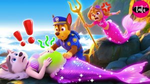 Щенячий патруль и Маршалл. Залипательное видео. Мультфильм для детей и малышей. Анимация 3