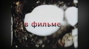 Зеленый слоник глубинный анализ