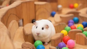 ИИ АНИМАЦИЯ