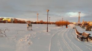 Золотистый рассвет - бодрого настроения друзья