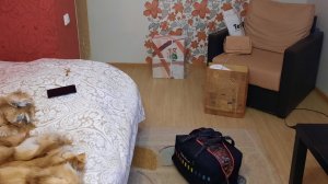 Вещи собраныbonprix РАСПАКОВКА и примеркаТурция жди✈