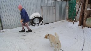 Жизнь в деревне 🏡 // получила посылку 🎁🔥// проведали маму🤗 //