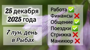 Лунный день 25 декабря 2025 года, гороскоп дня