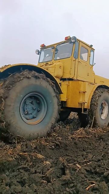 На Ставрополье тепло ) кировец 700 смотреть онлайн