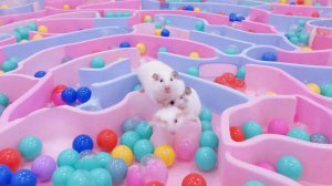 ВИДЕО ЗАЛИПАЛКА АСМР