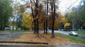 Вот и осень. Пролетело лето - стихи Виктора Левашова, Ярославль.