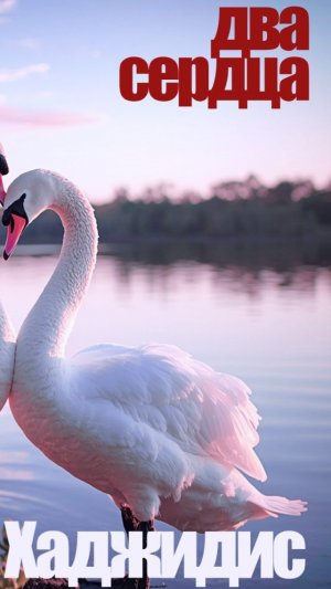 Александр Хаджидис — Два Сердца