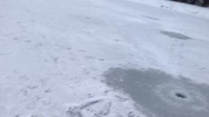 предварительный улов форели