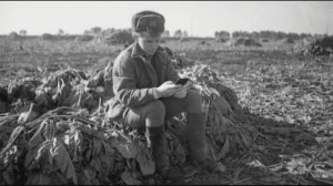 Оживление фотографии №63