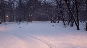 Небольшая прогулка 24 декабря. Южно-Сахалинск.mp4