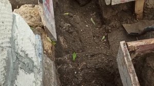 9-12 октября 2025 г. Строю дом. Копаю фундамент.