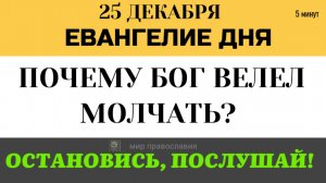 25 декабря Евангелие дня Илия уже пришел. Трагическая судьба пророков и наше будущее.