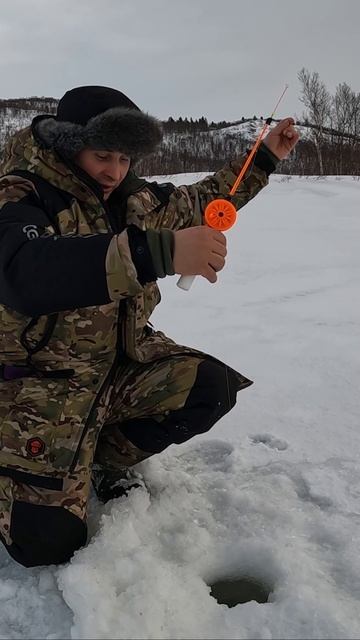 УДОЧКУ ИЗ РУК ВЫРВАЛА смотреть онлайн