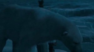 Золотой компас (битва медведей, отрывок)