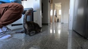 Я хотел проучить соседей но они пошли дальше