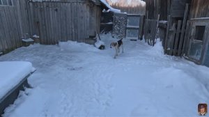 Новогодние морозы !