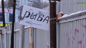 Новый сквер и закрытие рынка: какие перемены ждут Кировский район Самары