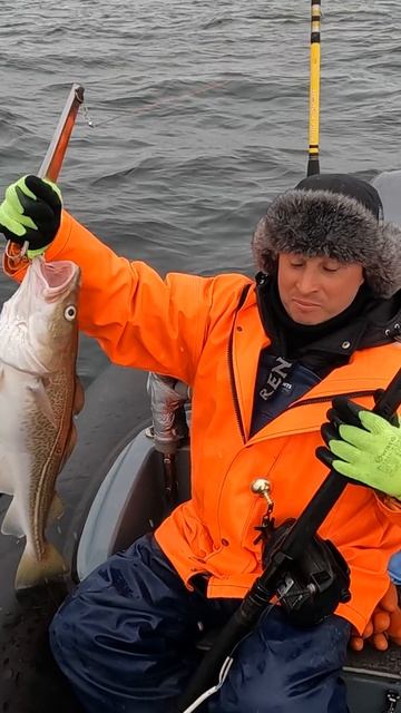 Долгожданная Рыба смотреть онлайн